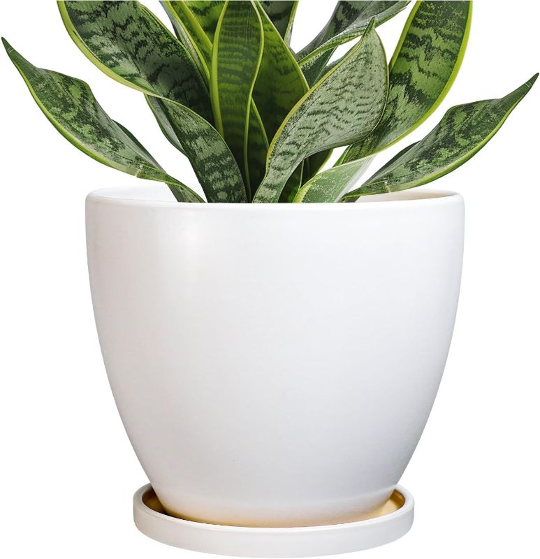 Photo 1 of Ceramic Pots for Plants - 6.8 Inch Plant Pot with Drainage Hole and Saucer, Succulent Round Flower Planters for Indoor, Home Decor, White