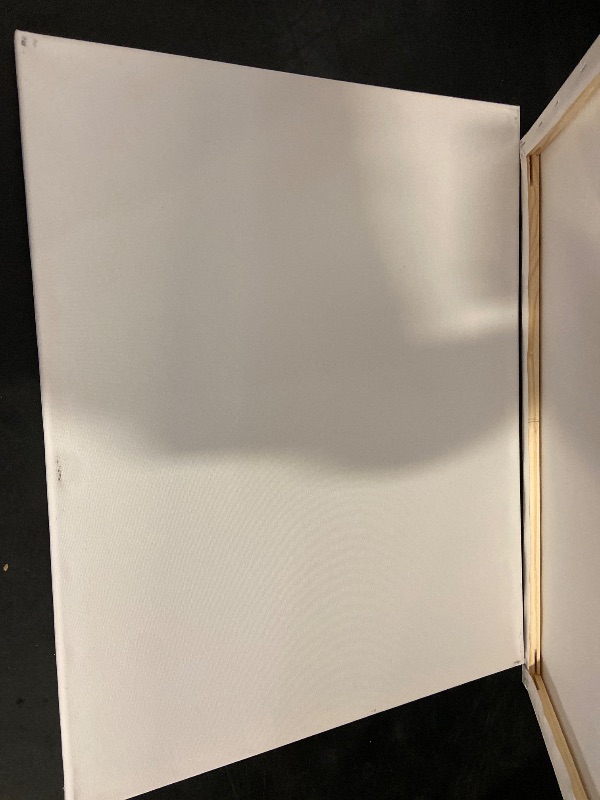 Photo 1 of ESRICH Stretched Canvas for Painting 16x20 Inch, 6Pack Large Canvas for Painting, Primed Acid-Free Cotton Blank Canvases, Art Paint Canvases for Oil Paint,Watercolor,Acrylic Paint,Gouache and Tempera.
