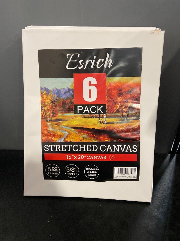 Photo 1 of ESRICH Stretched Canvas for Painting 16x20 Inch, 6Pack Large Canvas for Painting, Primed Acid-Free Cotton Blank Canvases, Art Paint Canvases for Oil Paint,Watercolor,Acrylic Paint,Gouache and Tempera.
