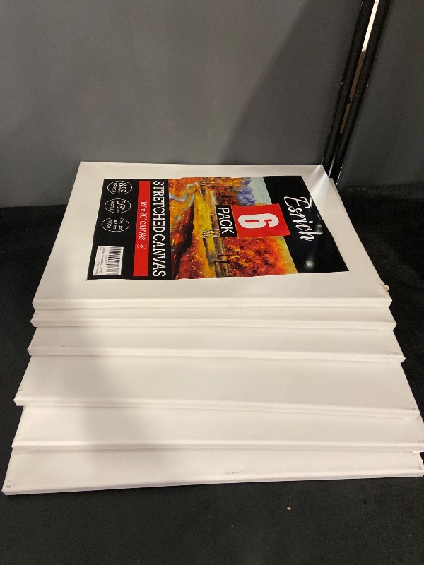 Photo 1 of ESRICH Stretched Canvas for Painting 16x20 Inch, 6Pack Large Canvas for Painting, Primed Acid-Free Cotton Blank Canvases, Art Paint Canvases for Oil Paint,Watercolor,Acrylic Paint,Gouache and Tempera.
