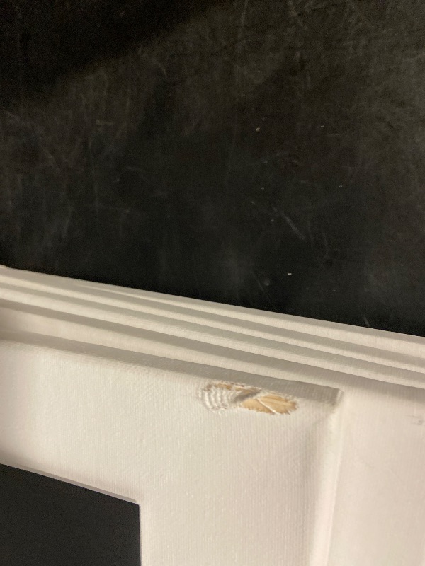 Photo 1 of ESRICH Stretched Canvas for Painting 16x20 Inch, 6Pack Large Canvas for Painting, Primed Acid-Free Cotton Blank Canvases, Art Paint Canvases for Oil Paint,Watercolor,Acrylic Paint,Gouache and Tempera.
