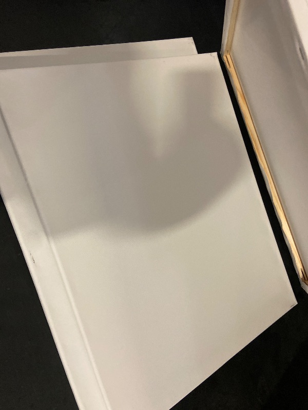 Photo 1 of ESRICH Stretched Canvas for Painting 16x20 Inch, 6Pack Large Canvas for Painting, Primed Acid-Free Cotton Blank Canvases, Art Paint Canvases for Oil Paint,Watercolor,Acrylic Paint,Gouache and Tempera.
