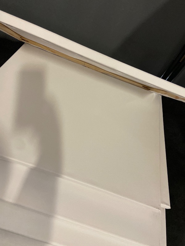 Photo 1 of ESRICH Stretched Canvas for Painting 16x20 Inch, 6Pack Large Canvas for Painting, Primed Acid-Free Cotton Blank Canvases, Art Paint Canvases for Oil Paint,Watercolor,Acrylic Paint,Gouache and Tempera.
