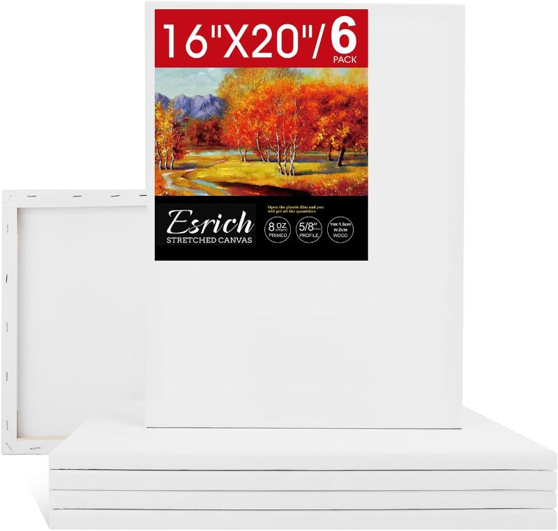 Photo 1 of ESRICH Stretched Canvas for Painting 16x20 Inch, 6Pack Large Canvas for Painting, Primed Acid-Free Cotton Blank Canvases, Art Paint Canvases for Oil Paint,Watercolor,Acrylic Paint,Gouache and Tempera.
