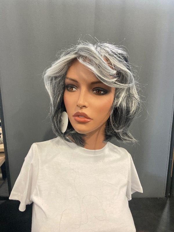 Photo 1 of Aisaide Highlight Silver Gray Layered Bob Wig with Curtain Bangs for Women Synthetic Light Grey Highlight Bob Wig Short Grey Layered for Black Women(Silver Gray Mixed Light)
