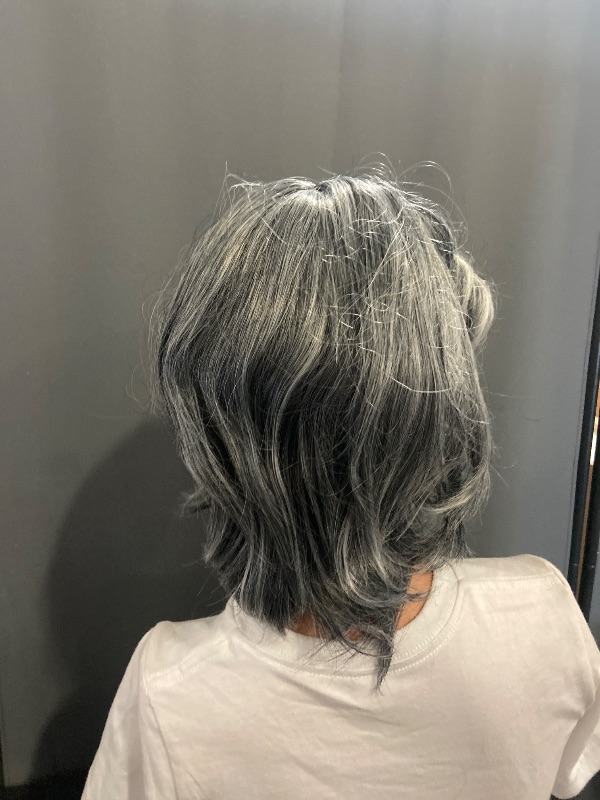 Photo 1 of Aisaide Highlight Silver Gray Layered Bob Wig with Curtain Bangs for Women Synthetic Light Grey Highlight Bob Wig Short Grey Layered for Black Women(Silver Gray Mixed Light)
