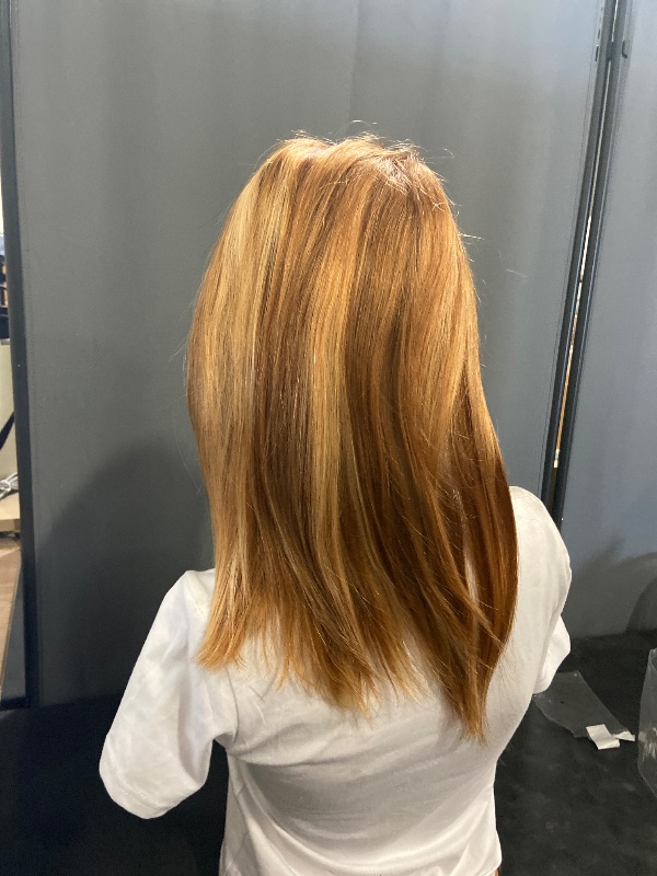 Photo 1 of UCUVIC 16 Inch Highlight Ombre Lace Front Wig Human Hair Glueless Bob Wigs Human Hair Pre Plucked, 4/27 Highlighted Honey Blonde HD Lace Front Wigs Human Hair Wigs For Black Women 180 Density
