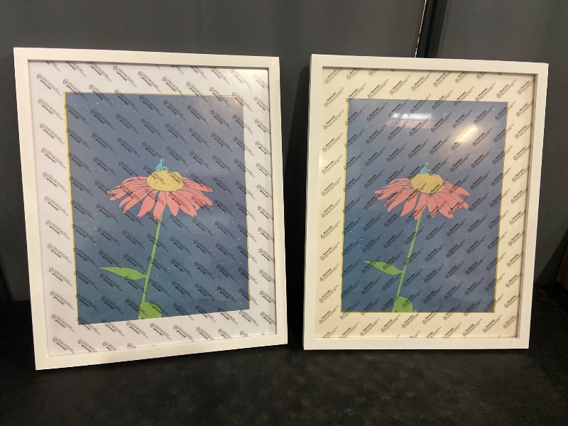 Photo 1 of 16x20inch Picture Frame 2 Pack White Solid Wood Display Pictures 12x16 with Mat or 16x20 Wall Without Mounting Photo Frames?2pcs?