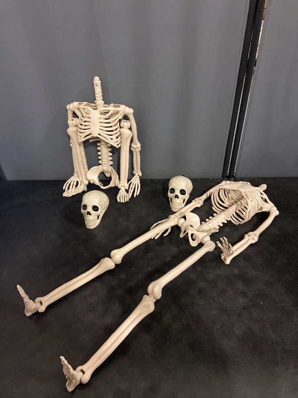 Photo 1 of JOYIN 2PCS 36" Halloween Skeleton Decor, 3FT Full Body Stayable Movable Joints, Posable Hanging Skeletons for Halloween Decoration, Yard, Graveyard, Haunted House Props, Spooky Scene Party Favor