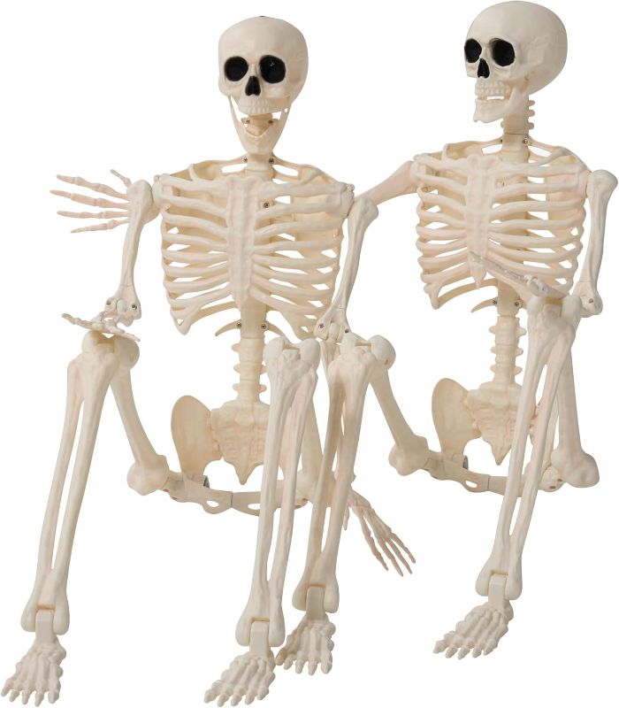 Photo 1 of JOYIN 2PCS 36" Halloween Skeleton Decor, 3FT Full Body Stayable Movable Joints, Posable Hanging Skeletons for Halloween Decoration, Yard, Graveyard, Haunted House Props, Spooky Scene Party Favor