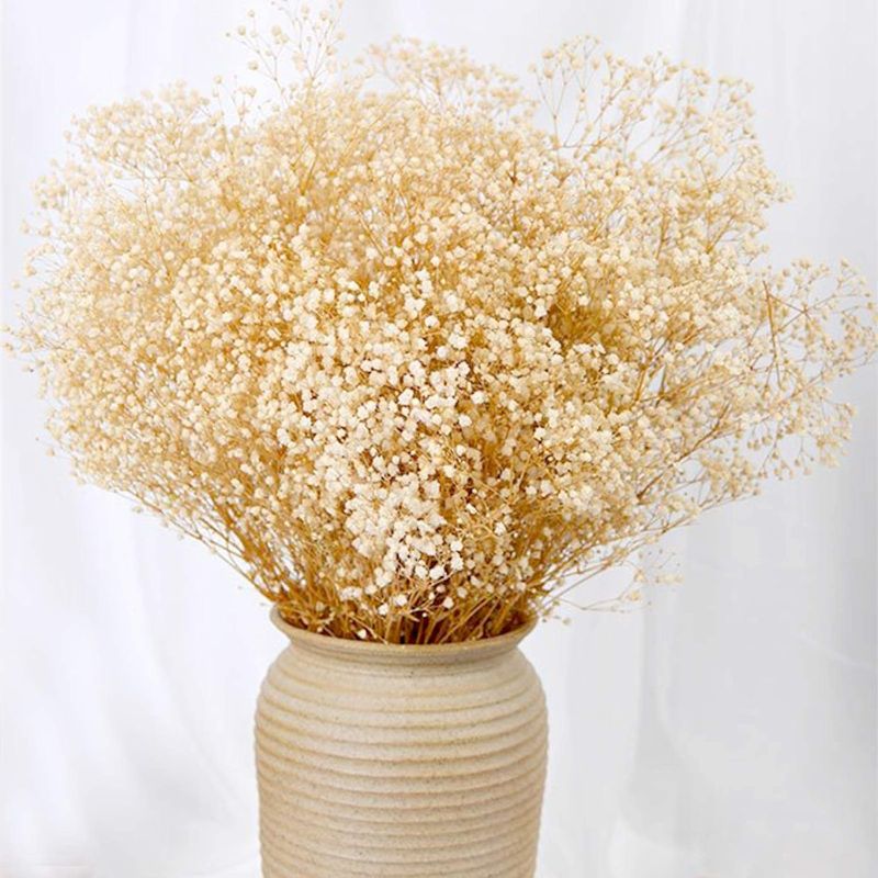 Photo 1 of Dried Babys Breath Flowers Bouquet-17 Inch 2500+ Ivory White Dry Flowers, Natural Gypsophila Branches for Wedding, Table Vase Decor, DIY Wreath Floral, Home Office Party Garden Decoration (3oz)