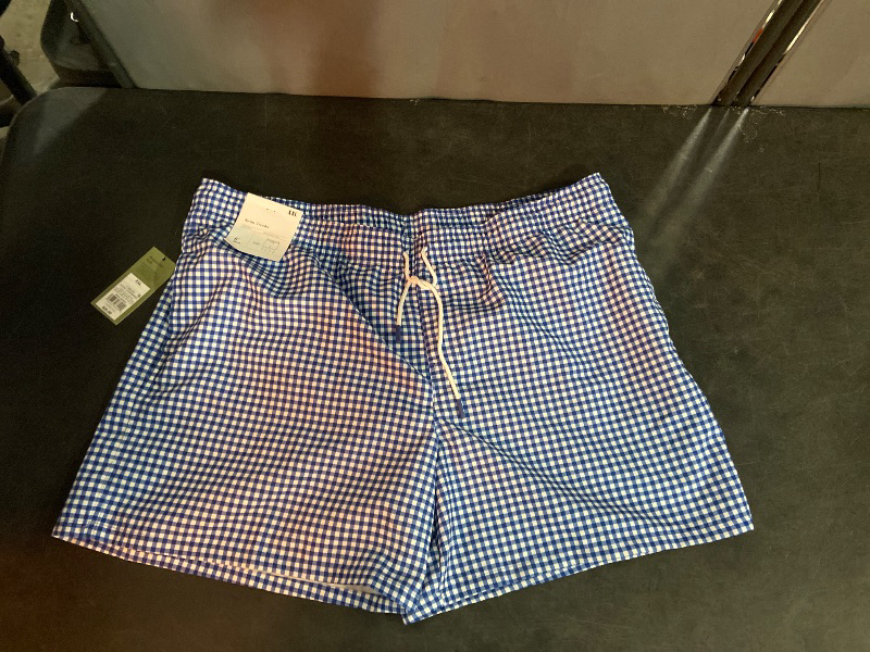 Photo 1 of (XXL) Men's Great American Summer 6" Swim Trunks - Goodfellow & Co™ Blue Gingham XXL