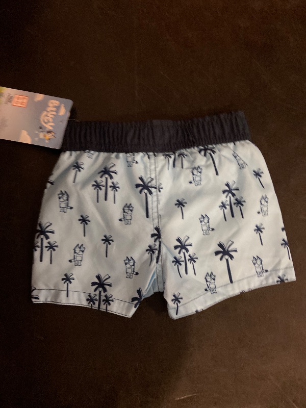 Photo 1 of Size 12m Baby Boys' Bluey Swim Shorts - Blue 12M: Polyester Microfiber, Tagless, Mid Rise, Front Drawstring, UPF 50+ Protection
