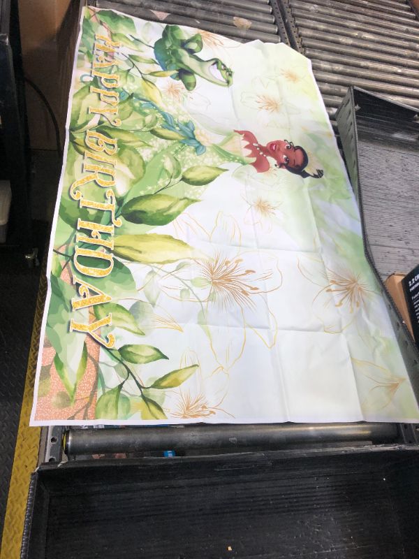 Photo 1 of princess and the frog happy birthday flag