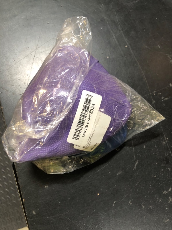 Photo 1 of Color My Class Long P.G. Sof's Football, 9 1/4-Inch (purple and blue)