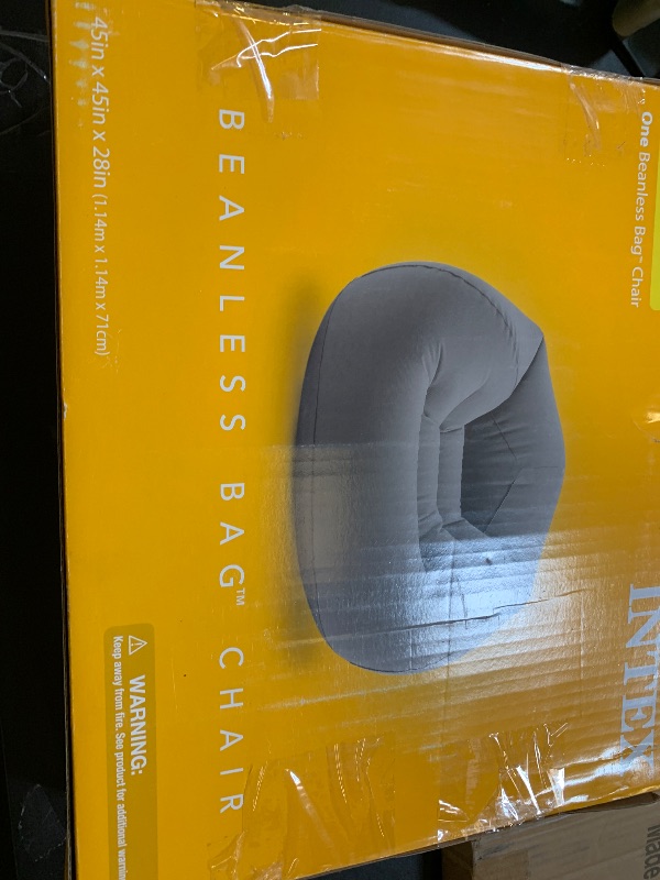 Photo 1 of 
beanless bag chair 