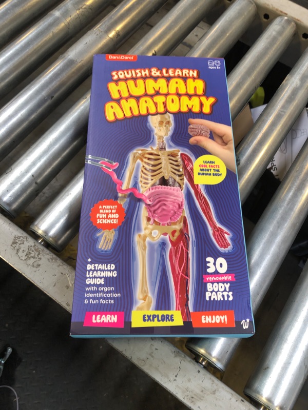 Photo 1 of Dan&Darci Human Anatomy Squishy Body Model - Science Kits for Kids Ages 4-8 - STEM Toys for 4 5 6 7 8 Year Old Boy Birthday Gift - Learning Educational Toys for Ages 5-7 Boys Gifts - Skeleton Parts