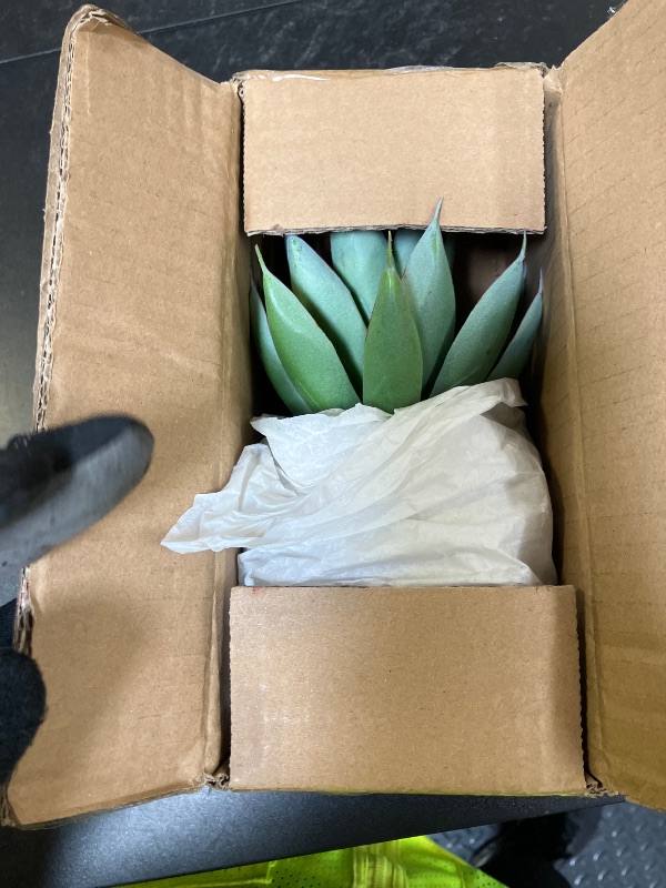 Photo 1 of Briful Succulents Plants Artificial for Home Decor, Realistic Potted Fake Agave Plant, Gold Metal Pot, Cute Aloe Maguey Faux Plant, Shelf Tables Decor, Modern Farmhouse Home Kitchen Decorations