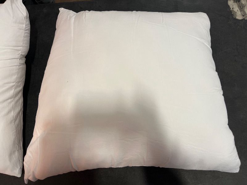 Photo 1 of EDOW Throw Pillow Insert, Lightweight Soft Polyester Down Alternative Decorative Pillow, Sham Stuffer, Machine Washable. (White, 18x18)