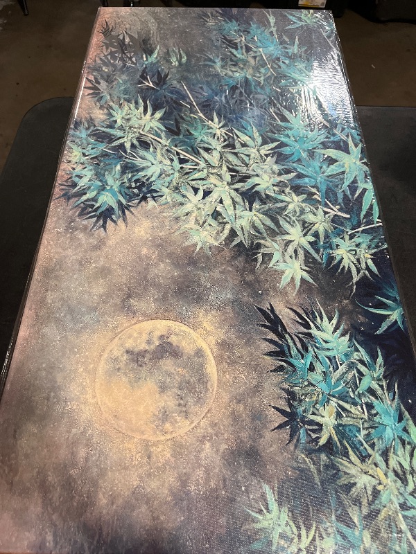 Photo 1 of 20X40 NightSky with Weed Part Senory 