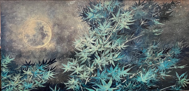 Photo 1 of 20X40 NightSky with Weed Part Senory 