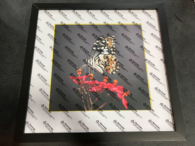 View 3 of 14x14 Frame Black With Mat 10x10 Solid Wood Picture Frames Wall Mounting (1 pack, 14x14Inch)