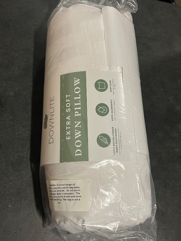 Photo 1 of DOWNLITE Down Extra Thin, Flat & Soft Pillow for Stomach Sleepers (Hypoallergenic) (Standard/Queen)
