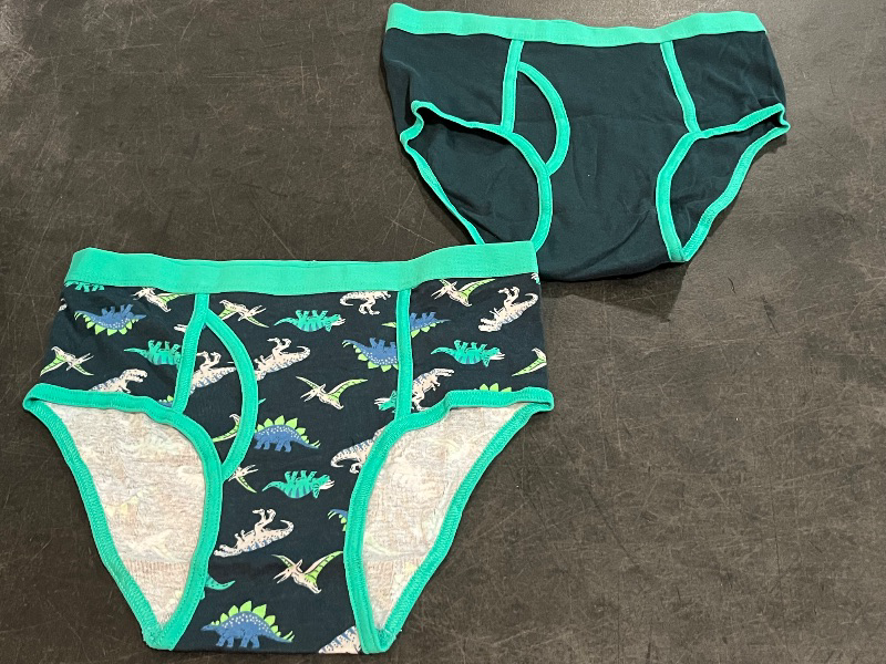 Photo 1 of 14(XL) Kids Dinasour Underwear, 2 pk
