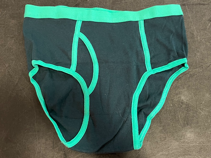 Photo 1 of 14(XL) Kids Dinasour Underwear, 2 pk