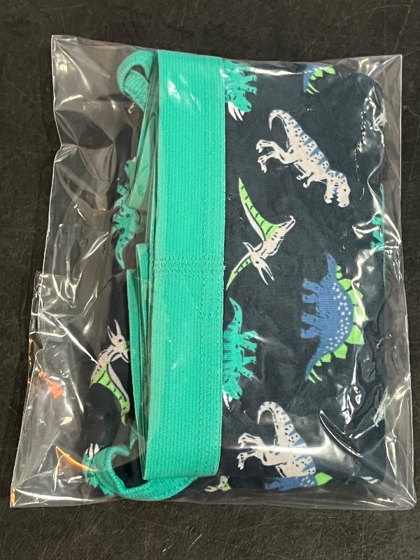 Photo 1 of 14(XL) Kids Dinasour Underwear, 2 pk