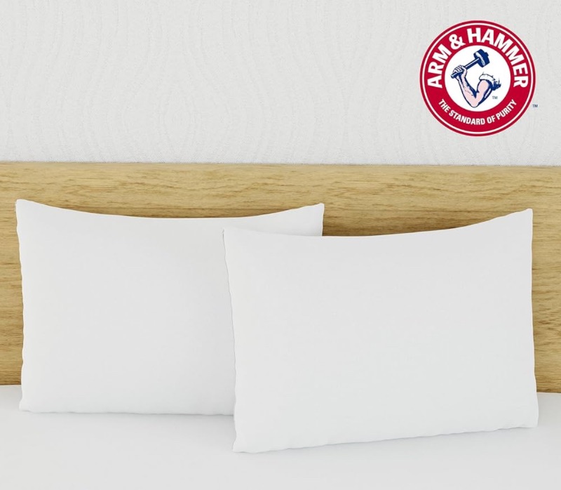 Photo 1 of Arm & Hammer Eco Performance Zippered Pillow Protector with Tencel, 2-Pack, Standard/Queen
