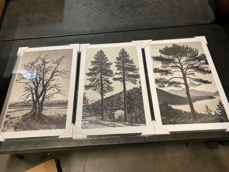 Photo 1 of KUVIOKE Vintage Tree Framed Wall Art Black and White Retro Antique Forest Drawings Nature Wilderness Sketch Wall Painting Modern Decor 12x16in (Black Framed)