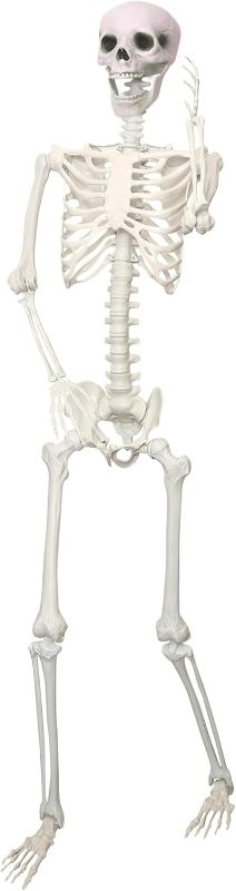 Photo 1 of 5.9Ft/180cm Giant Skeleton Poseable Skeleton Realistic Full Body Bones for Halloween Decorations