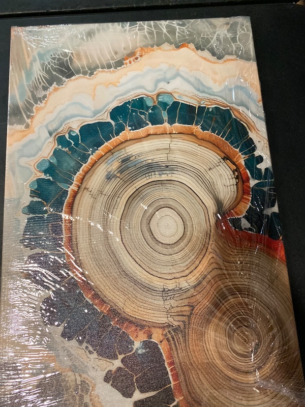 Photo 1 of IBHJSART Framed Tree Ring Canvas Wall Art Vintage Colorful Wood Stump Painting Prints Modern Minimalist Pictures Neutral Nature Rustic Farmhouse Decor Living Room Bedroom Bathroom Office