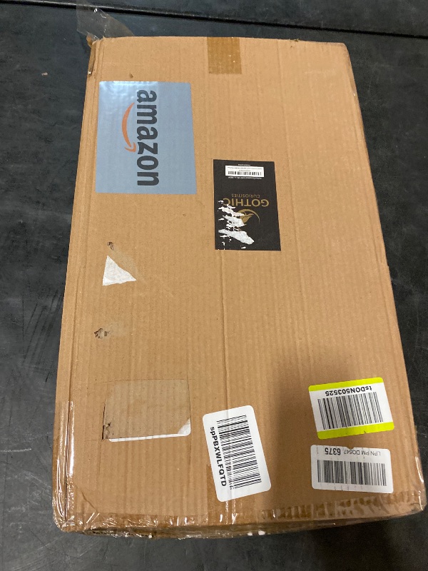 Photo 1 of Coffin Mirror – 21 in., Decorative Mirror for Wall Decor, Living Room, Bedroom, Gifting, & More – Hang & Pair with a Coffin Shelf, & Witch Decor