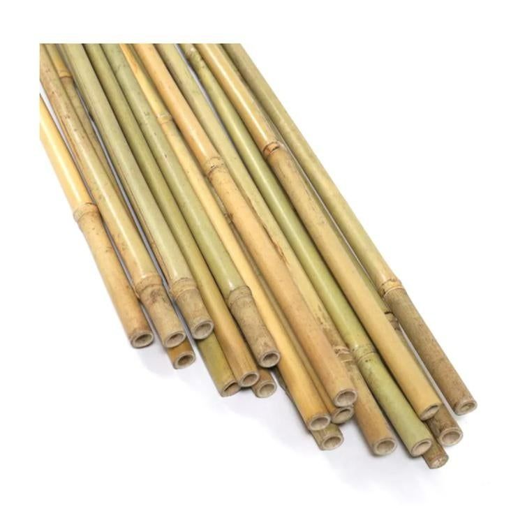 Photo 1 of Garden Bamboo Stakes,10-pack