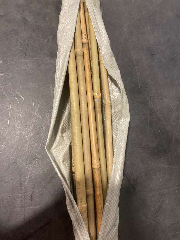 Photo 1 of Garden Bamboo Stakes,10-pack