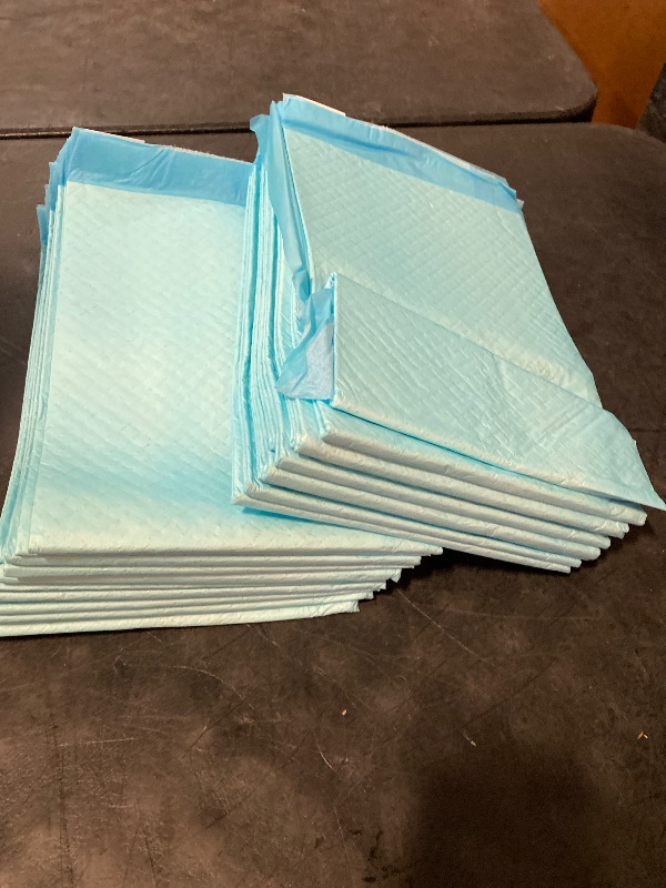 Photo 1 of Dog and Puppy Pee Pads with 5-Layer Leak-Proof Design and Quick-Dry Surface for Potty Training, Heavy Duty Absorbency, X-Large, 20 x 20 Inch - Pack of 25, Blue & White