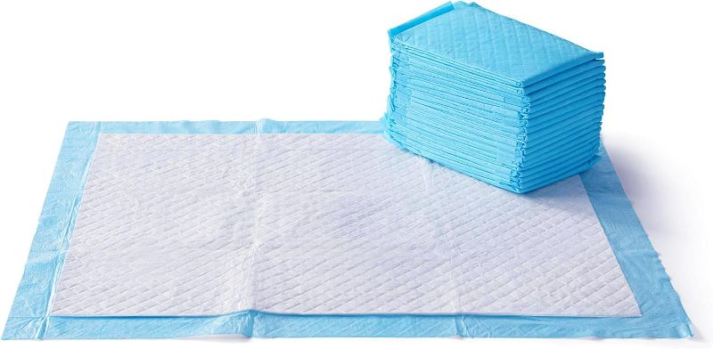 Photo 1 of Dog and Puppy Pee Pads with 5-Layer Leak-Proof Design and Quick-Dry Surface for Potty Training, Heavy Duty Absorbency, X-Large, 20 x 20 Inch - Pack of 25, Blue & White