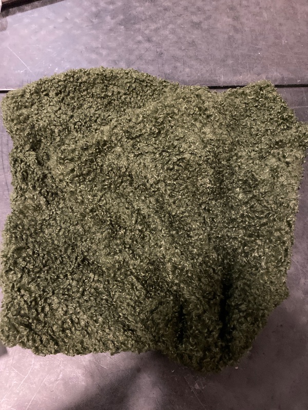 Photo 1 of 2 Pieces 22x22 Inch Olive Green, Faux Fur Throw Pillow Cover Accent Sherpa Furry Pillow Covers Fuzzy Soft Pillowcases Cozy Sheepskin Decorative Fleece Cushion Case for Bed Couch Living Room