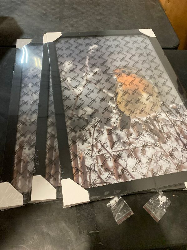 Photo 1 of Original Poster Frame 16x24 Black Lightweight Vertical & Horizontal Wall Hanging Large Picture Frame for Posters, Art Prints & Gallery Wall (3-Pack)