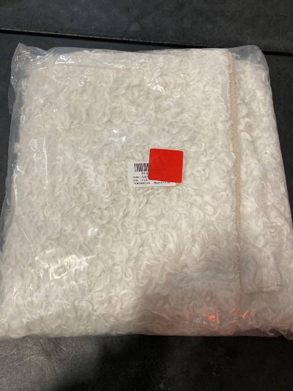 Photo 1 of Cream White Fluffy Shag Rug for Bedroom,4'x6' Machine Washable Soft Shaggy Fuzzy Small Area Rugs for Living Room,Cute Furry Plush Kids Rugs Nursery Dorm Boys Girls Bed Room Carpets,Ivory