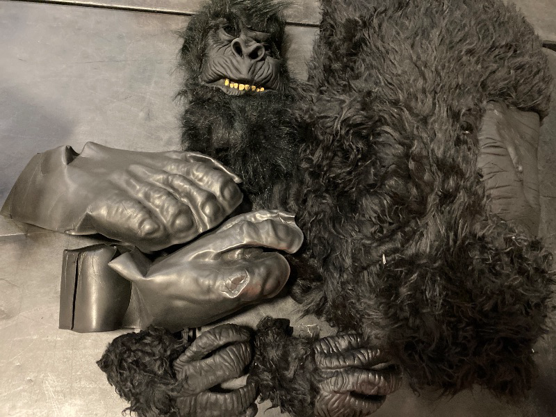Photo 1 of  One Size Seasons Deluxe Ape Costume with Feet