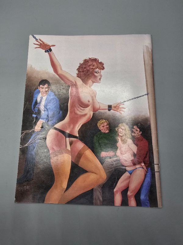 Photo 1 of Domina Press Old Fashion Bondage No. 1