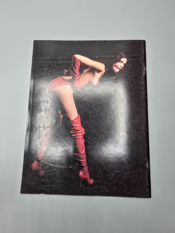 Photo 1 of Domina Press Bound & Loving It No.1 CopyRight 1993