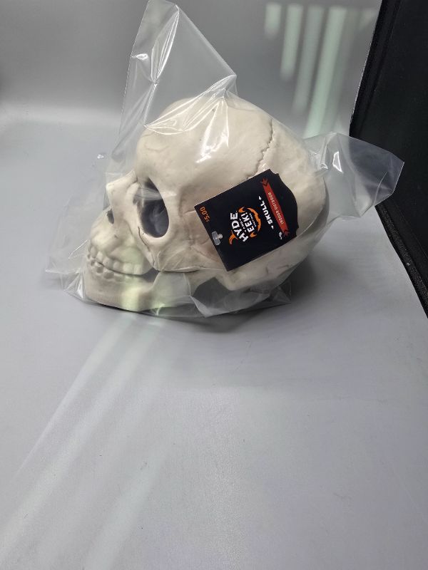 Photo 1 of 6" Skull Halloween Decorative Prop - Hyde and EEK! Boutique™