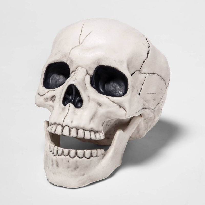 Photo 1 of 6" Skull Halloween Decorative Prop - Hyde and EEK! Boutique™