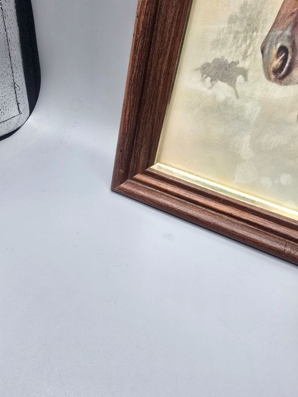 Photo 1 of Vintage 3 Ruane Manning Horses Art Prints Matted Donald Art Company 1992 