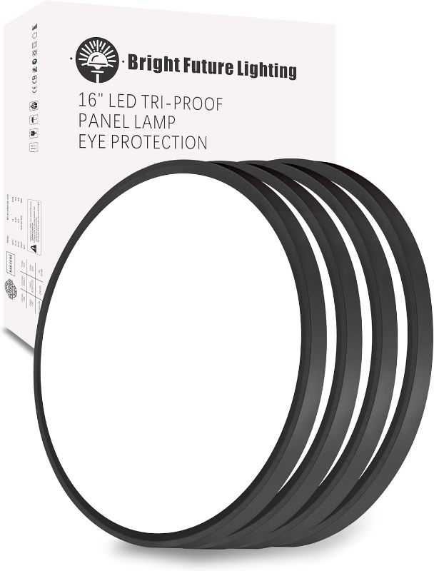 Photo 1 of 4Pack 16 Inch Led Flush Mount Ceiling Light,32W,3480LM,3000K/4000K/6000K 3CCT Selectable,Black Ultra-Slim Ceiling Lighting Fixture,Round Low Profile Flat Panel Light for Bedroom,Kitchen,Hallway,Office