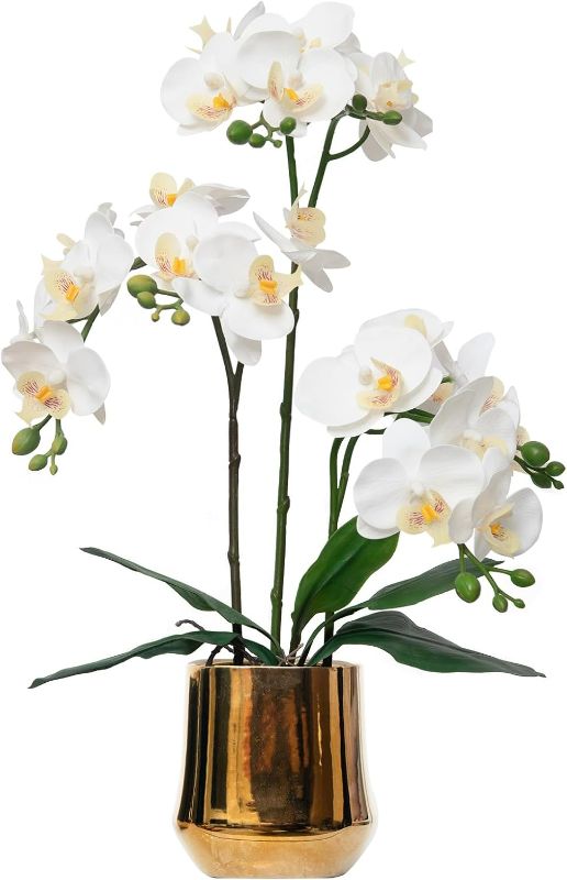 Photo 1 of Artificial White Phalaenopsis Orchid Flowers Set, Real Touch, 19.7 inches, 3 Pcs, Wedding, Party, Office Decoration